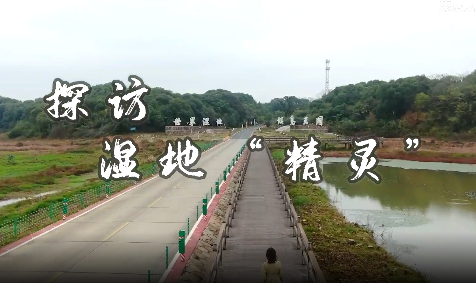 探访湿地“精灵”｜候鸟“衔”来的生态流量