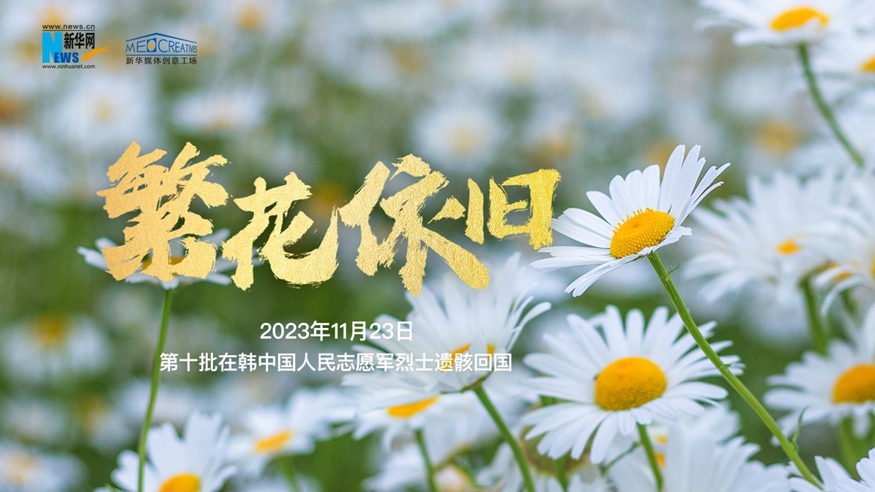 英雄归来｜繁花依旧