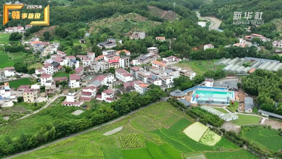 赣事新说 | 革命老区主动到粤港澳大湾区招村支书，图啥?