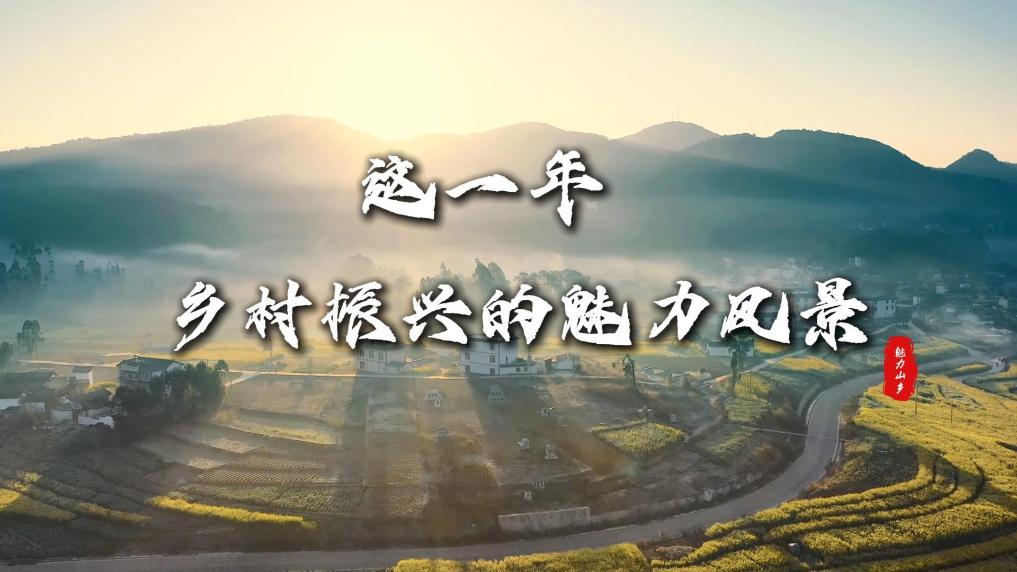 这一年，乡村振兴的魅力风景