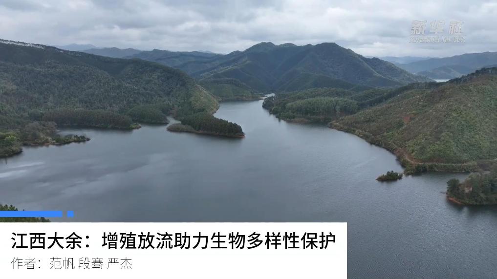 江西大余：增殖放流助力生物多样性保护