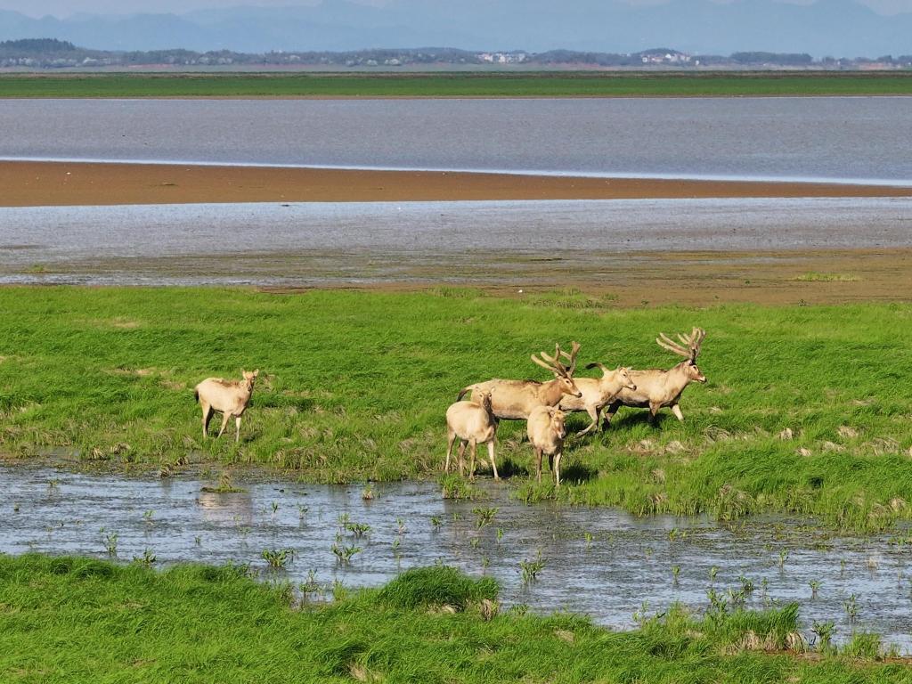 世界生态驿站奏响“大湖精灵”圆舞曲