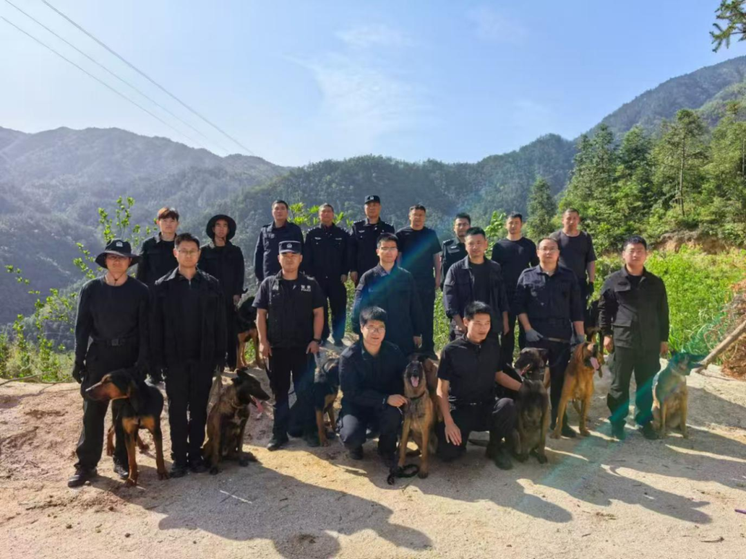 “无言战友”守平安