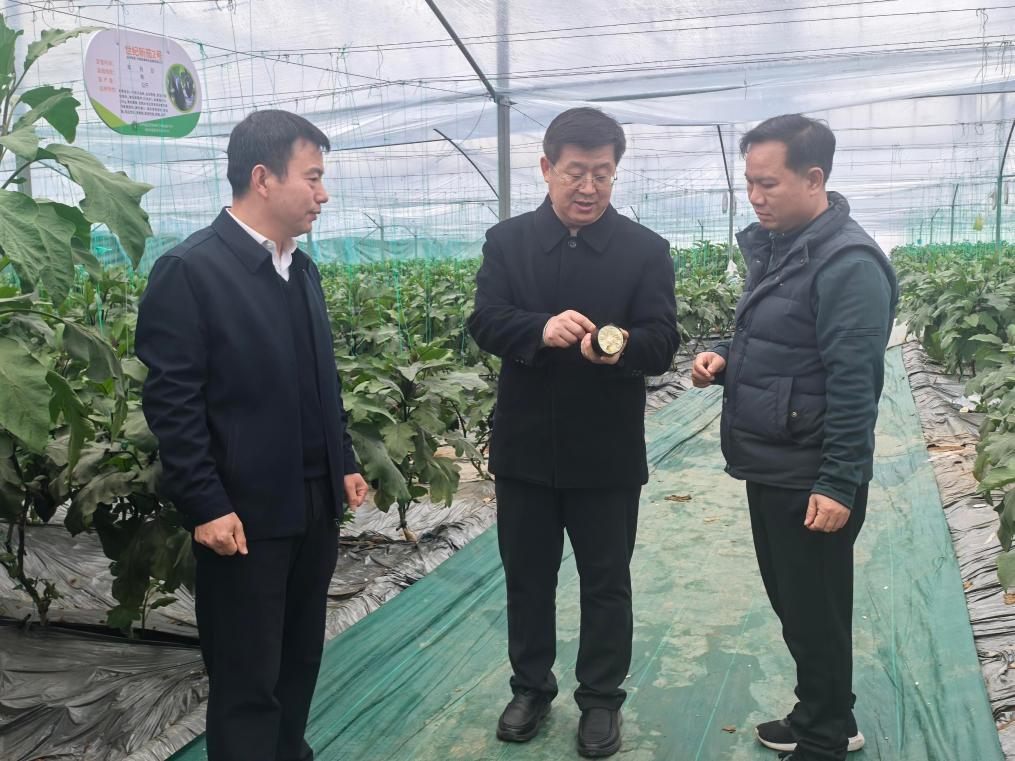 江西信丰：实验室连上生产一线 “科技副总”赋能产业升级