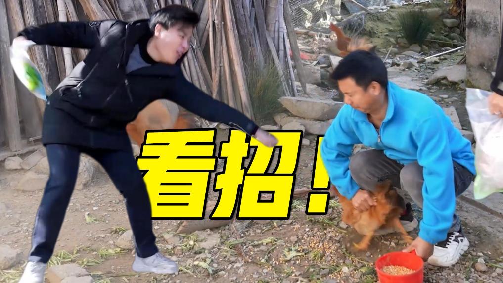 新华农兄弟：快过年了，兄弟背着锅来给兄弟补一补！