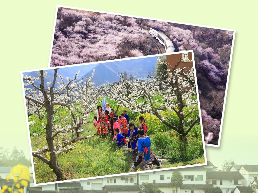 马力全开！春日消费“花开”多地