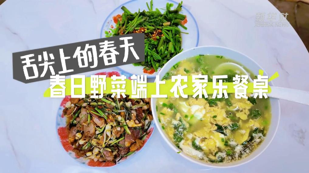 舌尖上的春天｜春日野菜端上农家乐餐桌