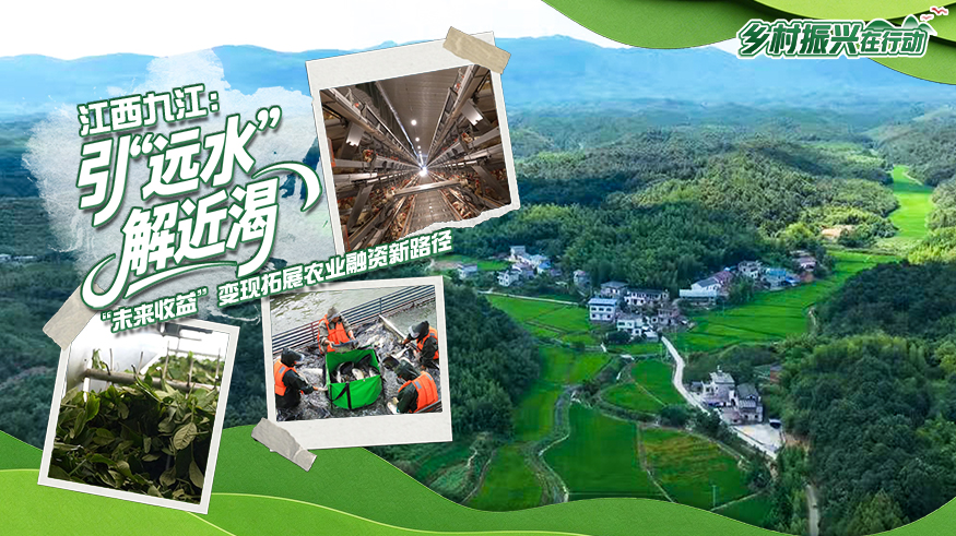 乡村振兴在行动 | 江西九江：引“远水”解近渴 “未来收益”拓展农业融资新路径