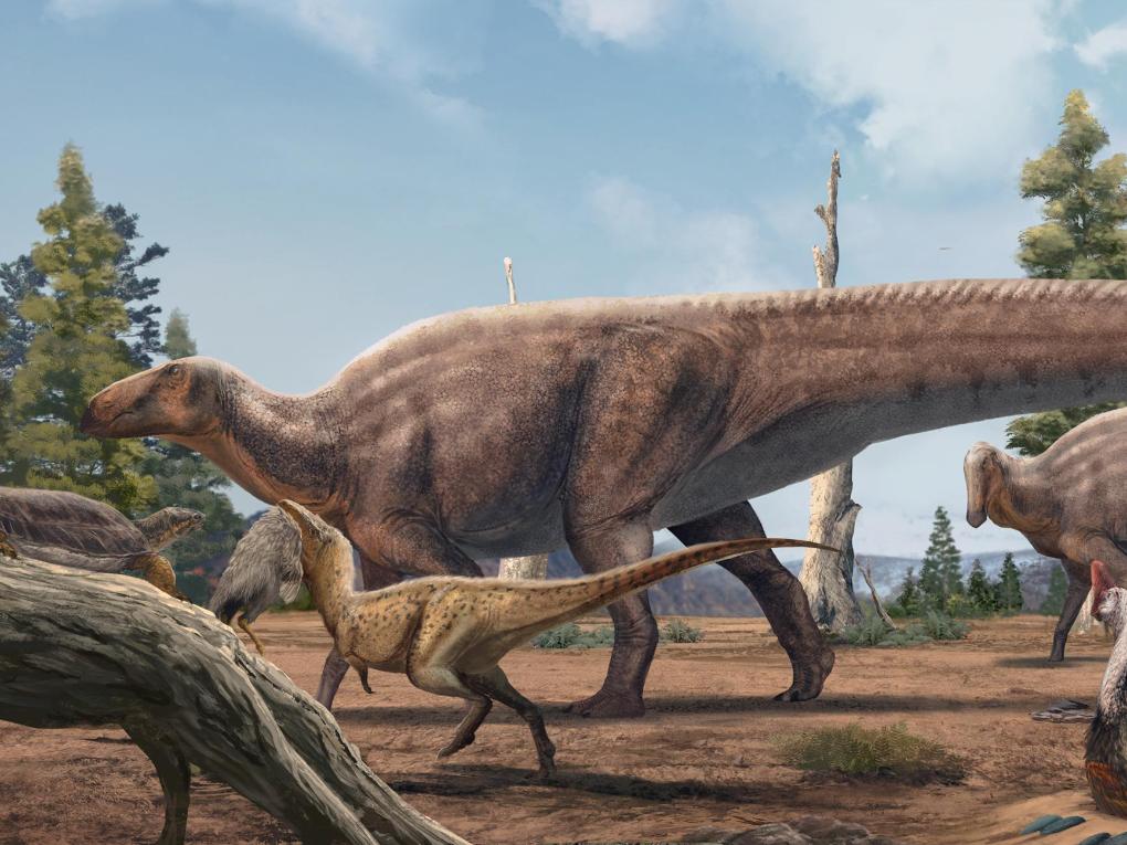 江西发现7000万年前的鸭嘴龙类新属种 拥有独特“帆尾”