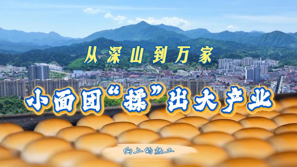 向上的热土｜从深山到万家，小面团“揉”出大产业