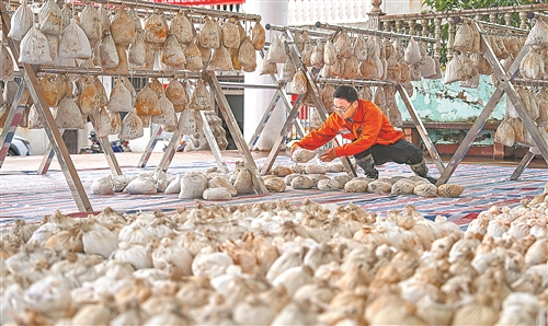 廿二载躬耕大地撰就江西土壤“说明书”