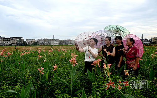 洼地开出“致富花”——万年三姐弟的生态创业路