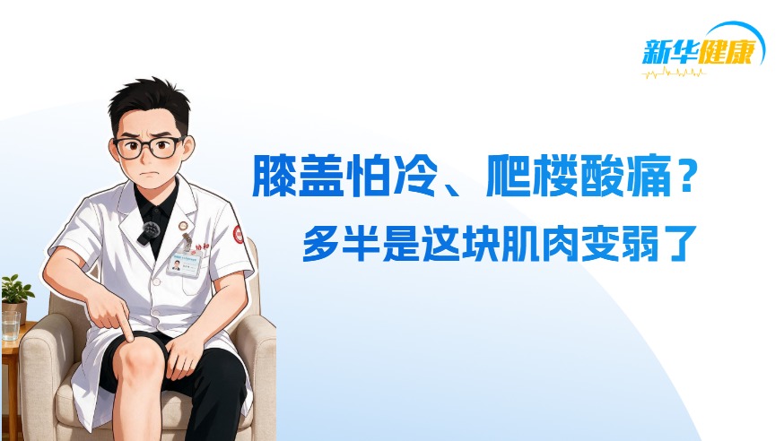 新华健康｜膝盖怕冷、爬楼酸痛？多半是这块肌肉变弱了